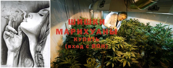 стаф Барнаул